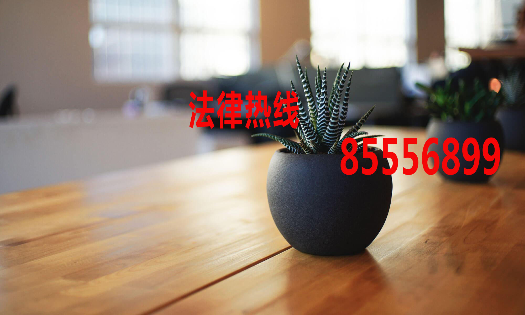 温州律师15356291688_温州市律师